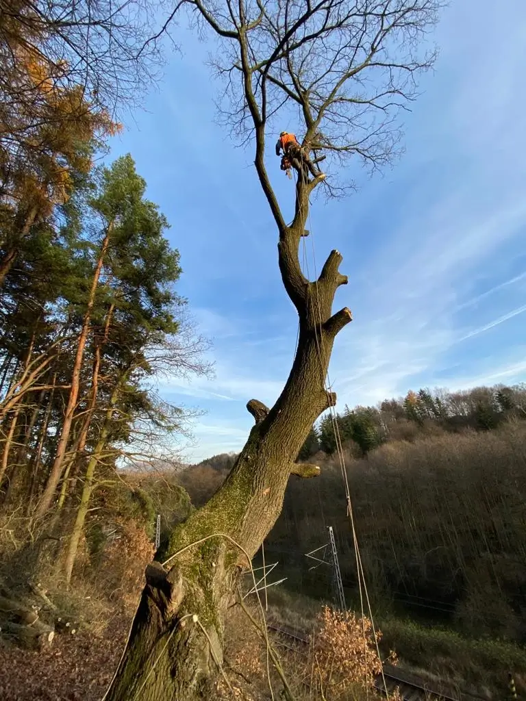 Über uns - Ostom.cz