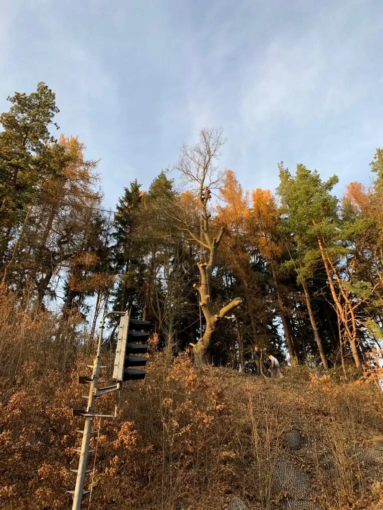 Über uns - Ostom.cz